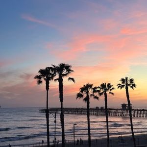 Meet your Posher, Ardis